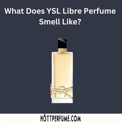 ysl for ladies|ysl libre smells like.